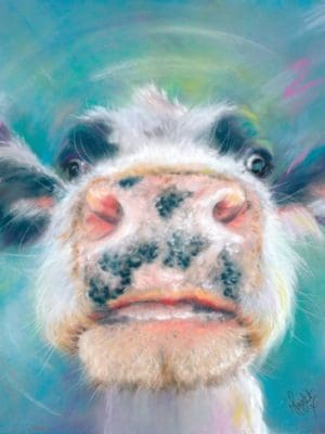 nosey-moo-Cow-print